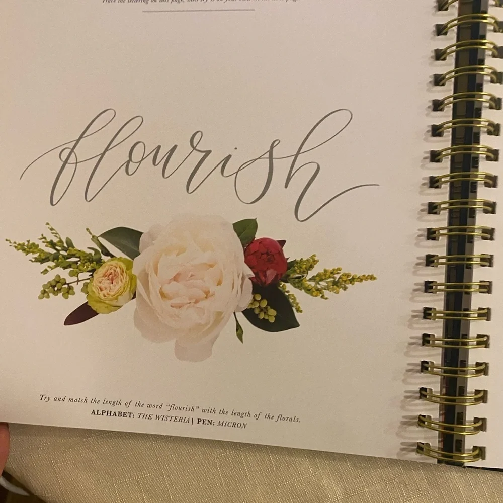 Modern Calligraphy & Hand Lettering For Beginners